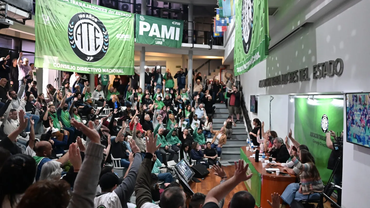 Trabajadores estatales de ATE anunciaron paro y movilización a Plaza de Mayo. (Foto: ATE).