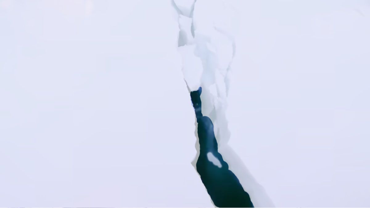 La falla y grieta Filcher, de la que se desprendi&oacute; el iceberg (Foto: captura de TV).