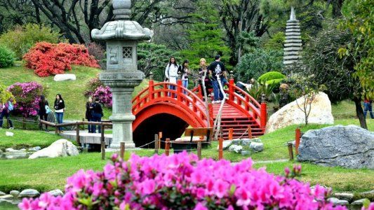 Todo lo que hay para descubrir en el jardín japonés de Buenos Aires