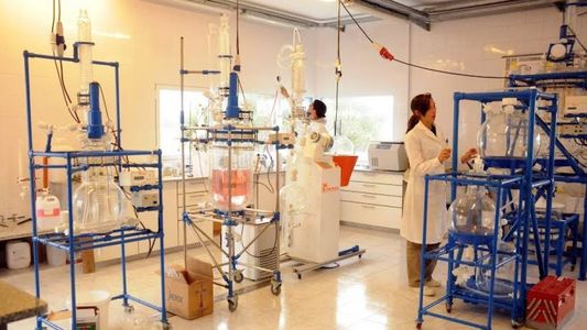 La empresa argentina asociada a Bill Gates que logró alcance mundial