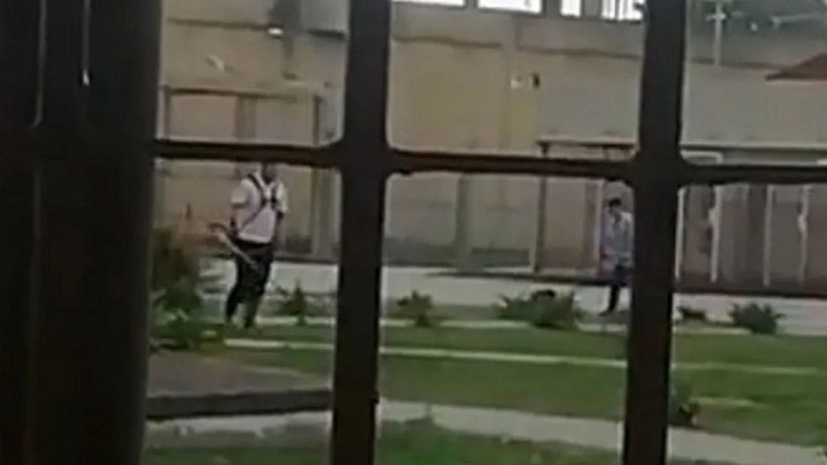 Se filtró un video de Máximo Thomsen en la cárcel, mientras corta el pasto y es humillado