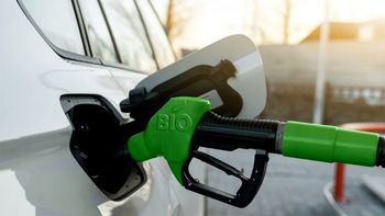 Las claves de la suba del corte del gasoil con biodiésel y qué impacto tendrá sobre la escasez del combustible