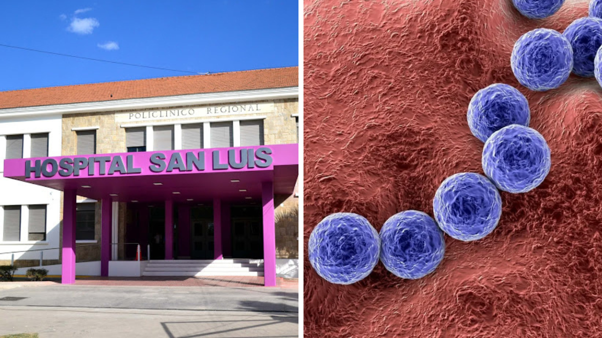 Streptococcus pyogenes: la enfermedad se cobró la vida de un adolescente de 14 años que se encontraba internado en el Hospital San Luis (Foto: archivo).