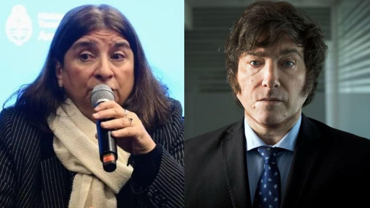 La dura respuesta de la titular del CONICET a la promesa de Javier Milei de cerrar el organismo (Foto: archivo).