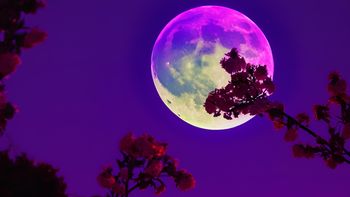Astrología: 3 signos perjudicados por la Luna Llena de las Flores en mayo