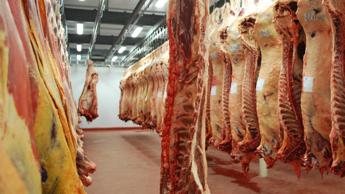 Las exportaciones de carne en el año son por US$ 226,4 millones.