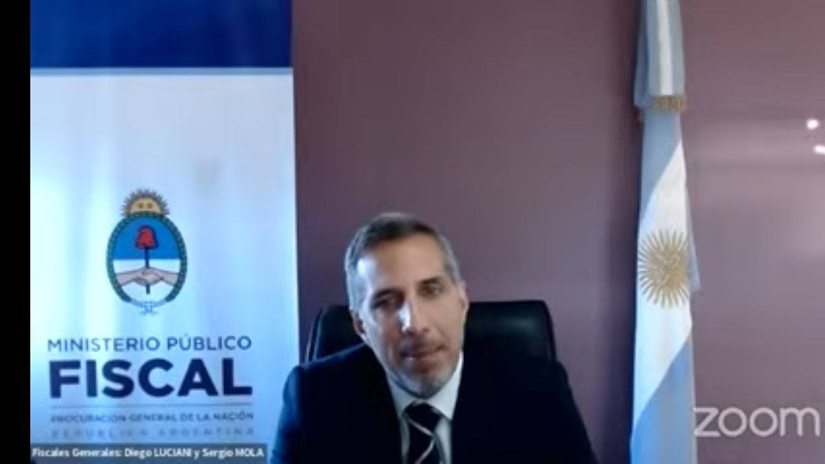 Fiscal de la Causa Vialidad, Diego Luciani (Foto: Captura de pantalla).