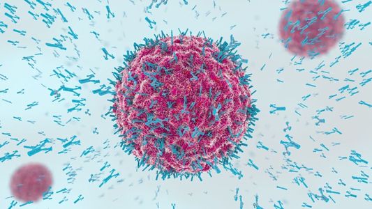 En el Día de la Inmunología: ¿qué es y cómo ayuda el estudio de las enfermedades que atacan al sistema inmunitario?