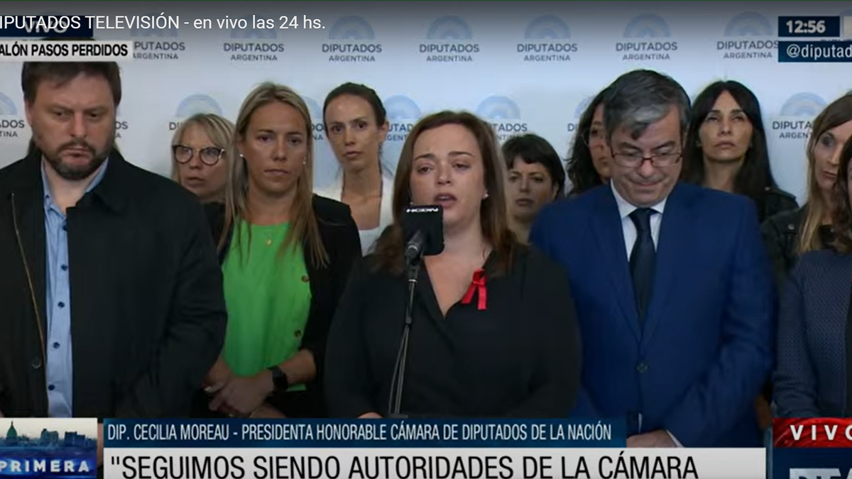 Cecilia Moreau seguirá como presidenta de Diputados y apuntó contra Juntos por el Cambio: Son caprichosos (Foto: captura TV Diputados).