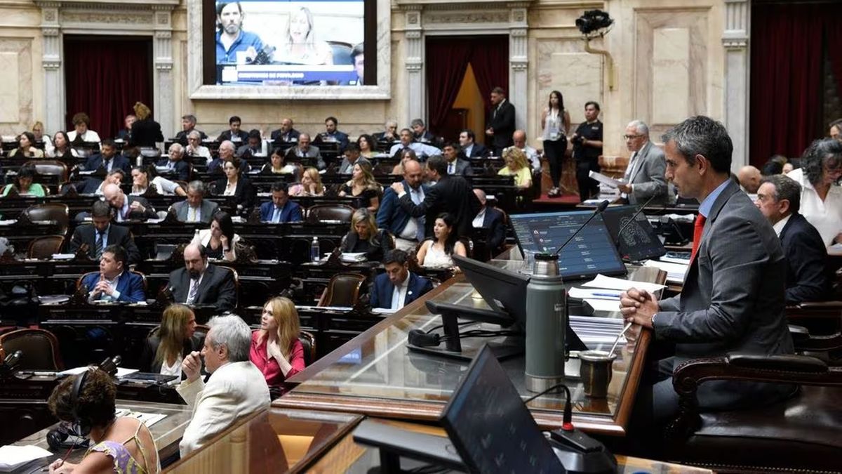 Ley Ómnibus: Desde las 14, se espera una nueva jornada de debate en la Cámara de Diputados (Foto: archivo).
