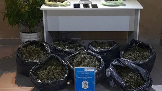 Misiones: secuestran más de 3 toneladas de marihuana valuadas en unos $1.500 millones