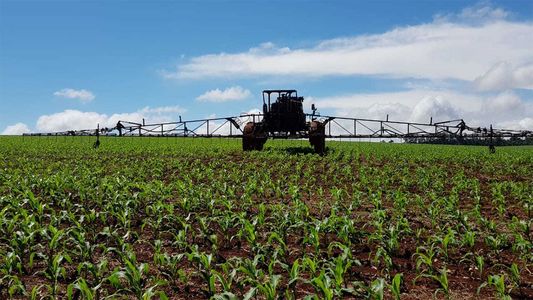 Insumos agrícolas: los motivos de las fuertes subas y las dudas de cara al último trimestre