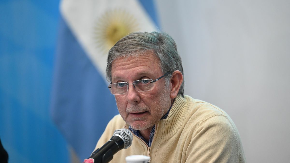 El Gobierno permitirá que exportadores dispongan del 25% de las liquidaciones para importar soja