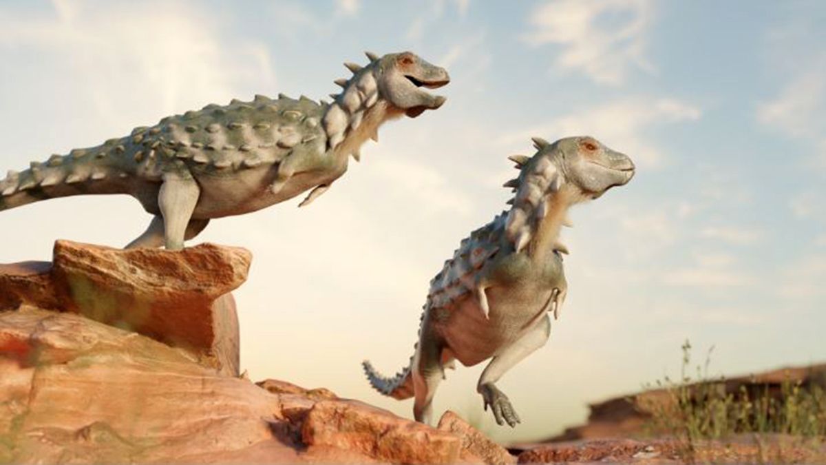 Encontraron un dinosaurio bípedo y acorazado en la Patagonia. (Foto: CONICET - paleogdy)