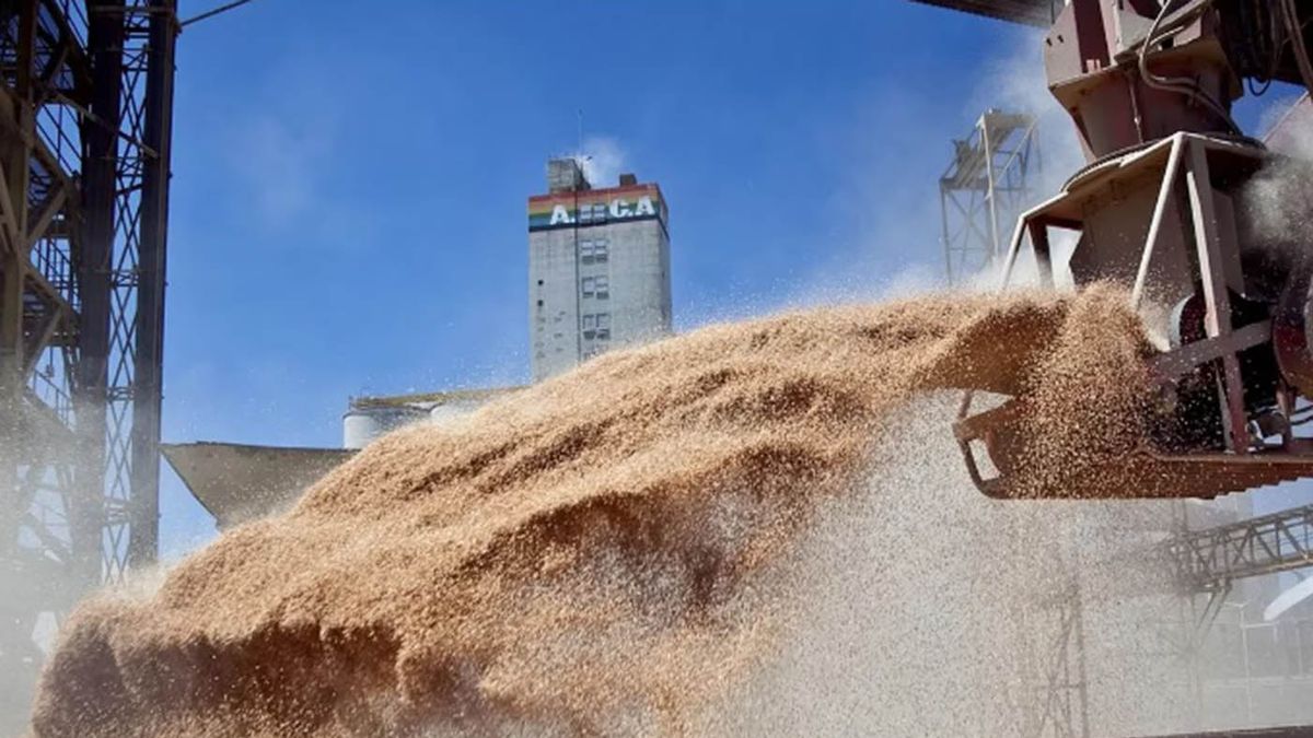 Cerealeras estimaron que el dólar agro generará u$s5 mil millones con la liquidación de soja. (Foto: archivo)