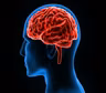 Las 4 vitaminas clave para cuidar y fortalecer el cerebro según un psiquiatra: cómo incorporarlas
