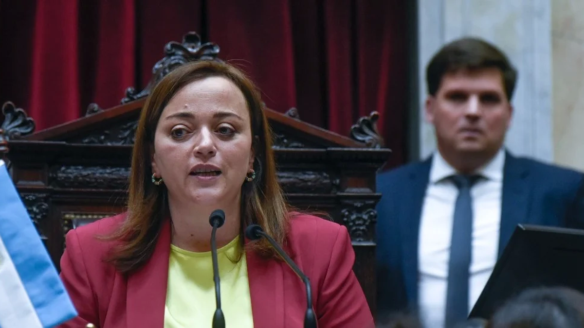 Cecilia Moreau denunció que fue amenazada de muerte al igual que otros miembros del Congreso. (Télam)