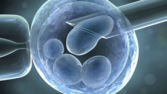 La Justicia avaló el descarte de embriones congelados y le pidió al Congreso que legisle sobre el tema