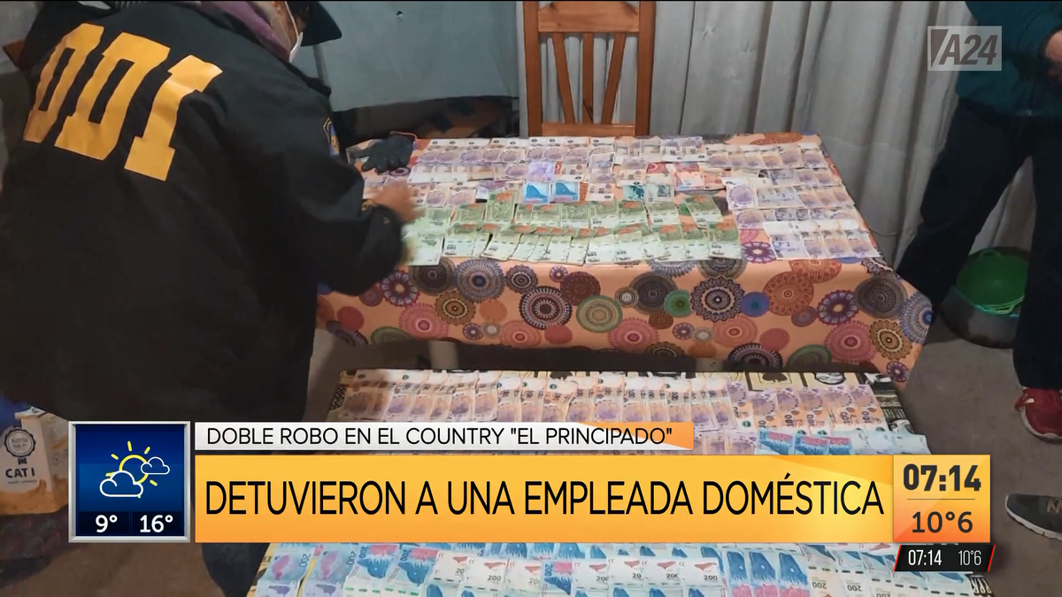 Robo al country de San Vicente: cayó una empleada doméstica. (Captura de Tv)