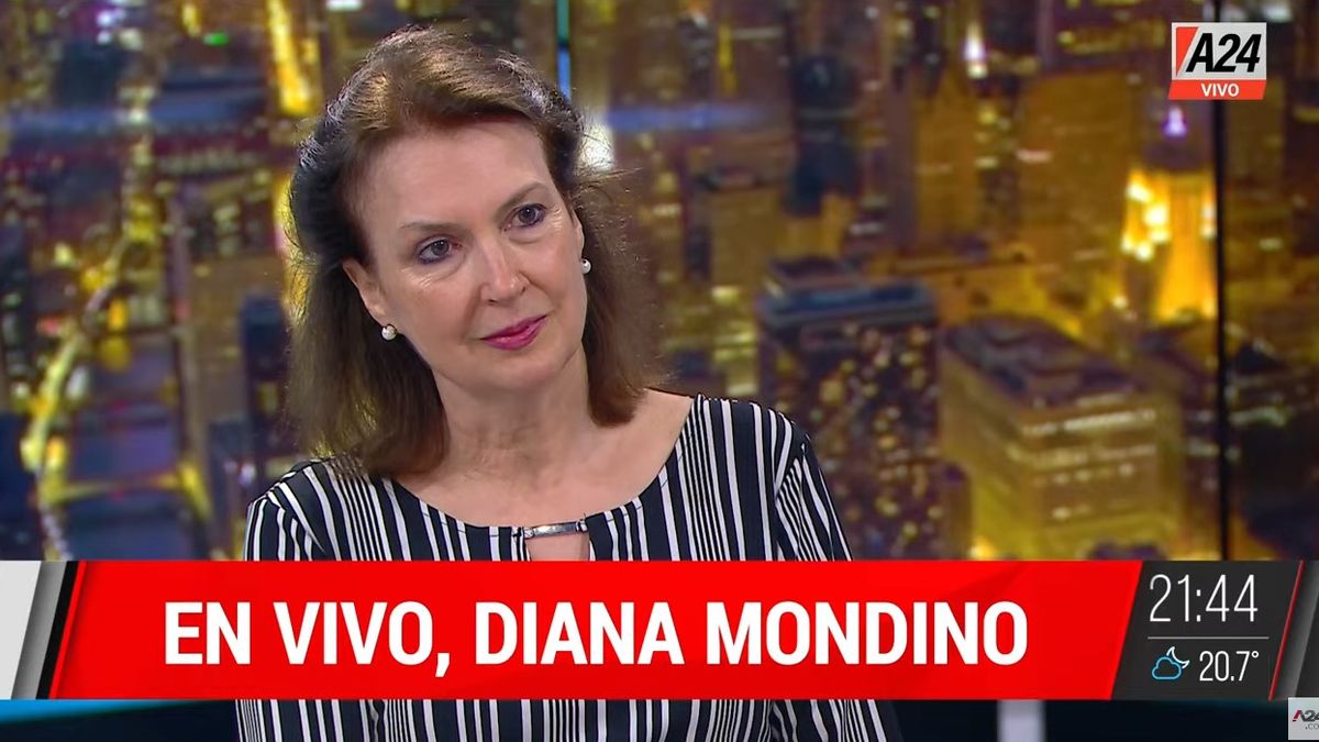Diana Mondino: Nos estamos acercando a una catástrofe fiscal. (Captura)