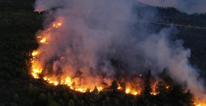 Incendios: Bariloche fue declarada en emergencia y desastre agropecuario y forestal