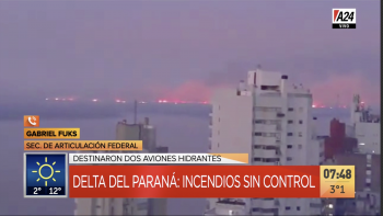 Más de 100 brigadistas intentan apagar los incendios descontrolados en el Delta del Paraná