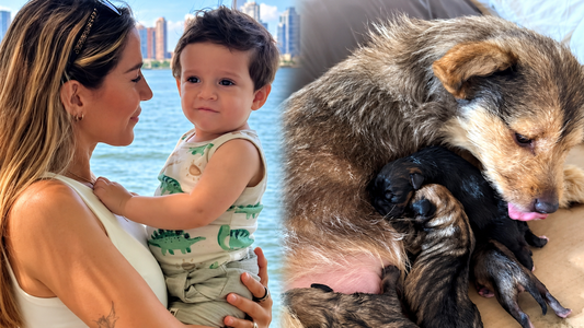 El video de Jimena Barón que causó ternura por el desopilante encuentro de Arturo con los cachorritos de Lucy