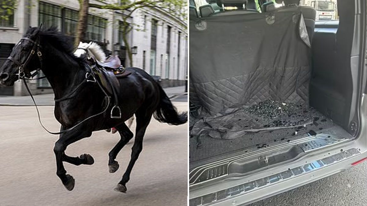 Uno de los caballos choc&oacute; con un tax&iacute; y le destruy&oacute; su parte trasera. (Foto: Gentileza Daily Mail)