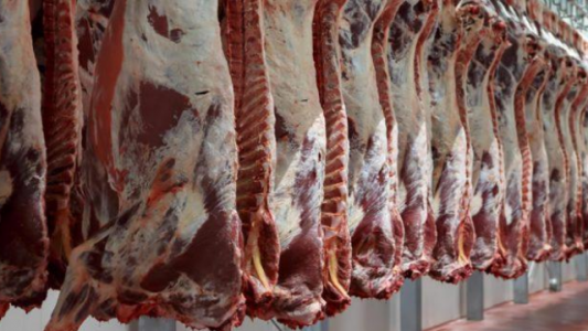 Compras chinas de carne vacuna a nivel global superarán los USD 15.000 millones en 2020