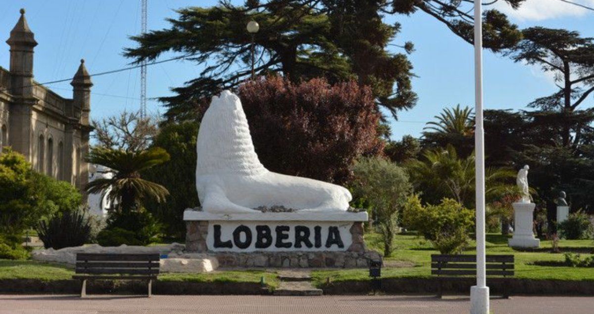 Lobería en una de las fases de la cuarentena