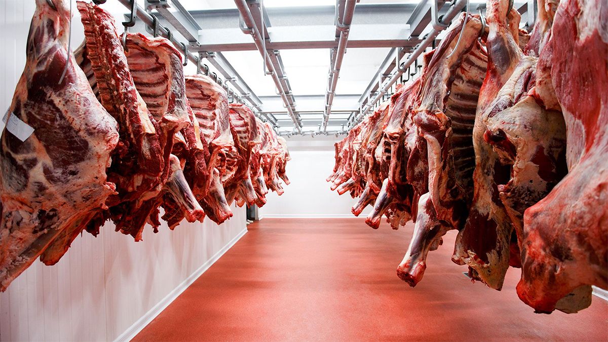 El Gobierno estableció los cupos por empresa para la exportación de carne.
