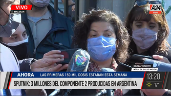 La ministra de Salud, Carla Vizzotti, anunció que este miércoles se presentarán los resultados de estudios de combinación de vacunas en CABA y Provincia (Foto: Captura de TV).