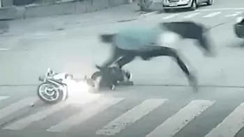 El caballo prófugo: en medio de una persecución al galope, chocó y casi provoca una tragedia
