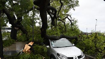 Ante un temporal, ¿qué cubren los seguros de los autos?