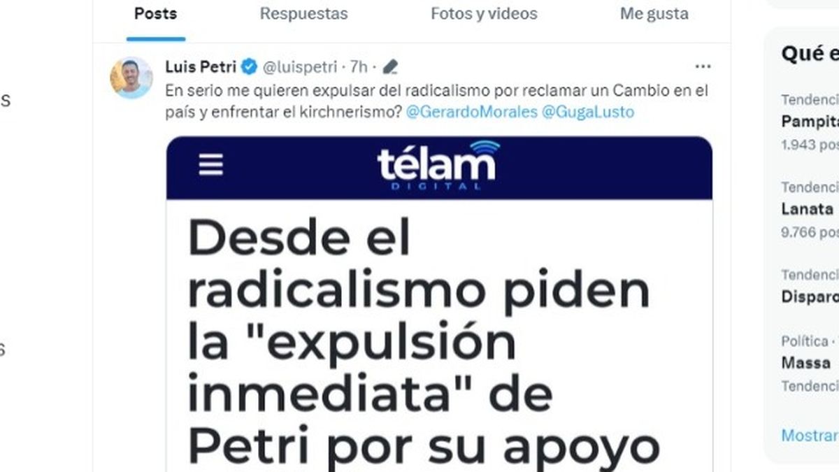 Luis Petri mostró su descontento con Morales y Lousteau en la red social 