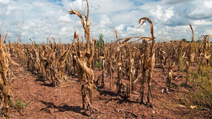 Entre Ríos anunció que reemplazará a la Emergencia Agropecuaria por una póliza de seguros