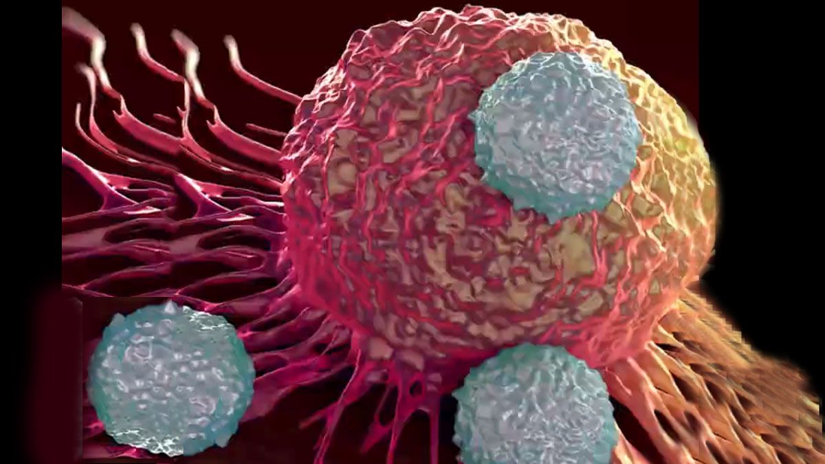 Una bacteria diseñada por ingeniería genética para atacar tumores. (Foto: Captura de TV)