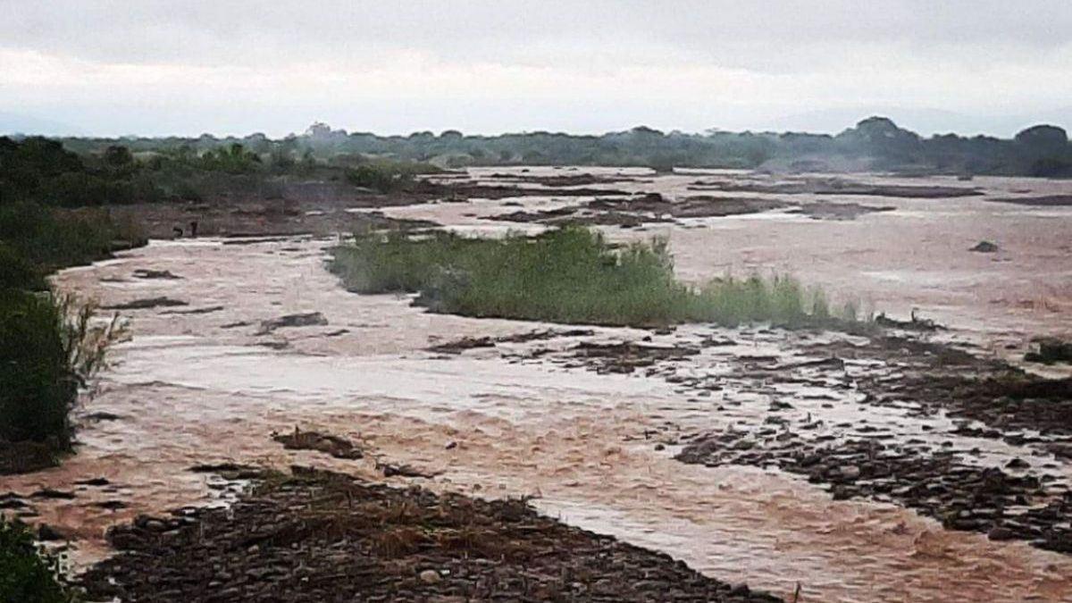 Encontraron el cadáver de una mujer al lado de un río: investigan si se trata de una docente desaparecida (Foto: archivo).