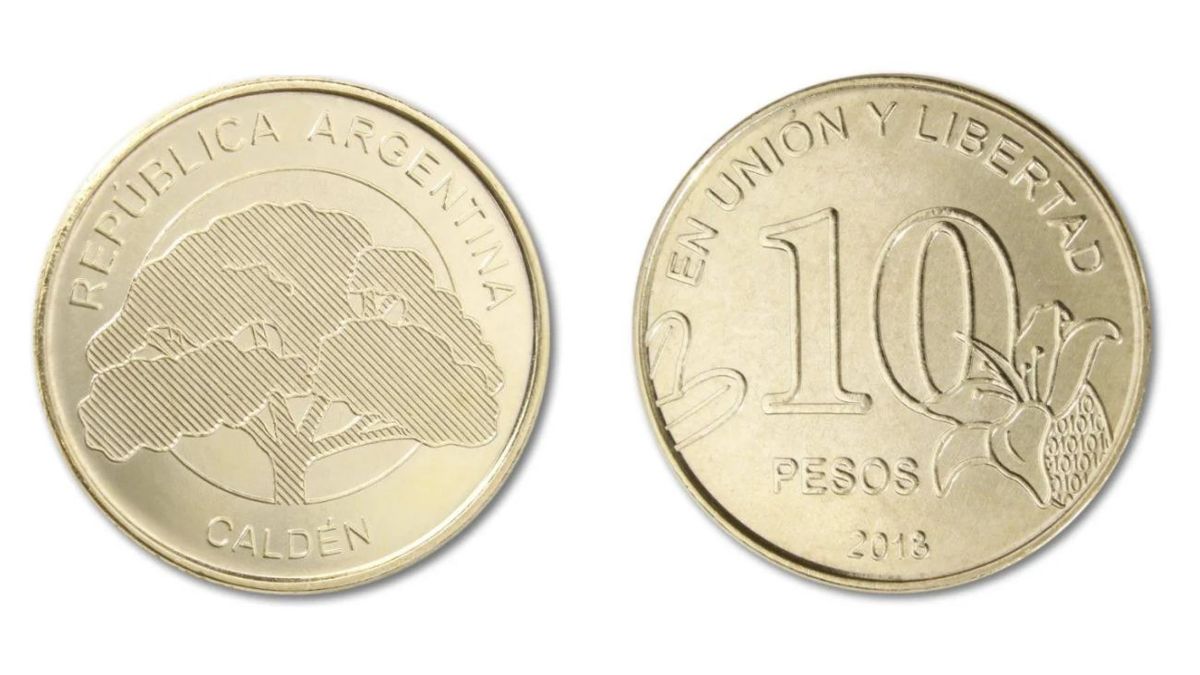 Buscá las monedas de 10 pesos que hay guardadas en tu casa porque tenés un tesoro millonario. (Foto: Archivo)