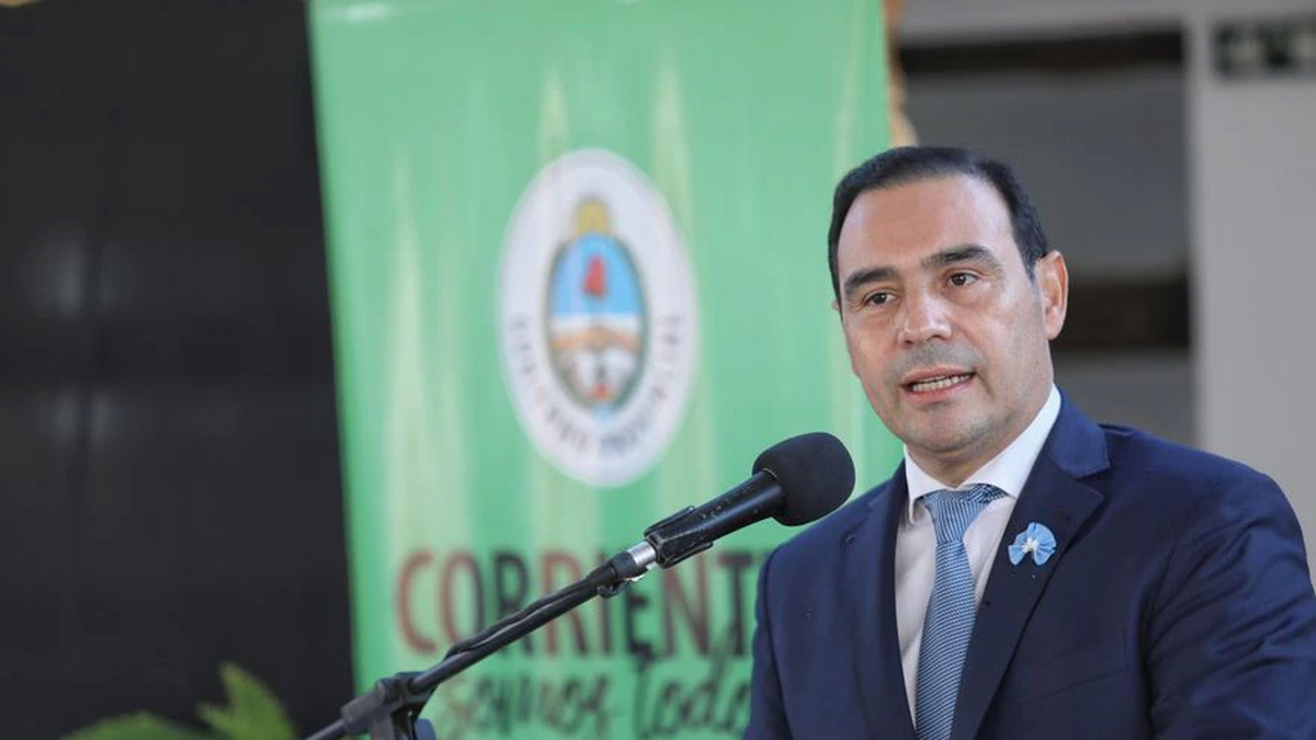 Corrientes: el gobernador Gustavo Valdés salió a despegarse de la normativa contra los carpinchos.