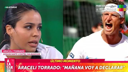 El duro relato de la ex pareja de David Nalbandian a pocas horas de declarar ante la Justicia