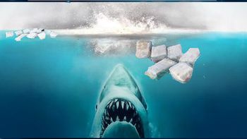 La extraña adicción por la que los tiburones enloquecen y atacan a las personas