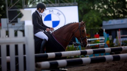 BMW Argentina en el evento hípico de la economía alemana