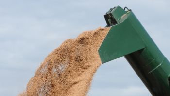 Consultorio impositivo: qué tener en cuenta al usar el canje como alternativa de financiamiento