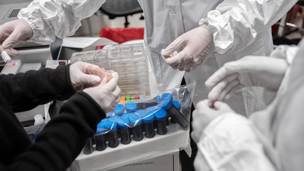 Vacunación en el mundo: el acceso irregular a las vacunas empuja hacia la concentración en pocos países. (Foto: AP)