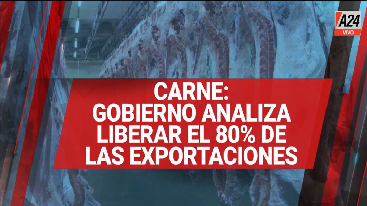El 80% de las exportaciones carnes podrán volver al mercado internacional (Foto: Captura de TV)