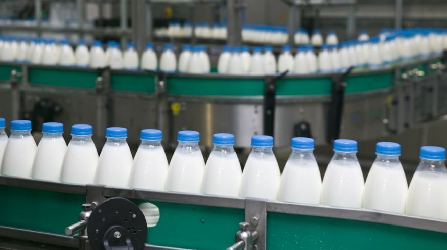 Lechería en crisis: la industria paga por encima de su capacidad, pero los tamberos cobran por debajo de los costos