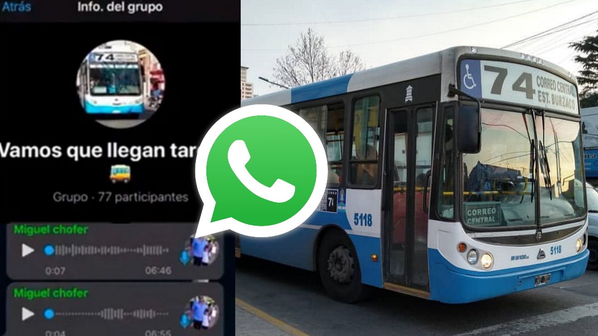 WhatsApp: un colectivero creo un grupo para avisarle a los pasajeros cuando está llegando