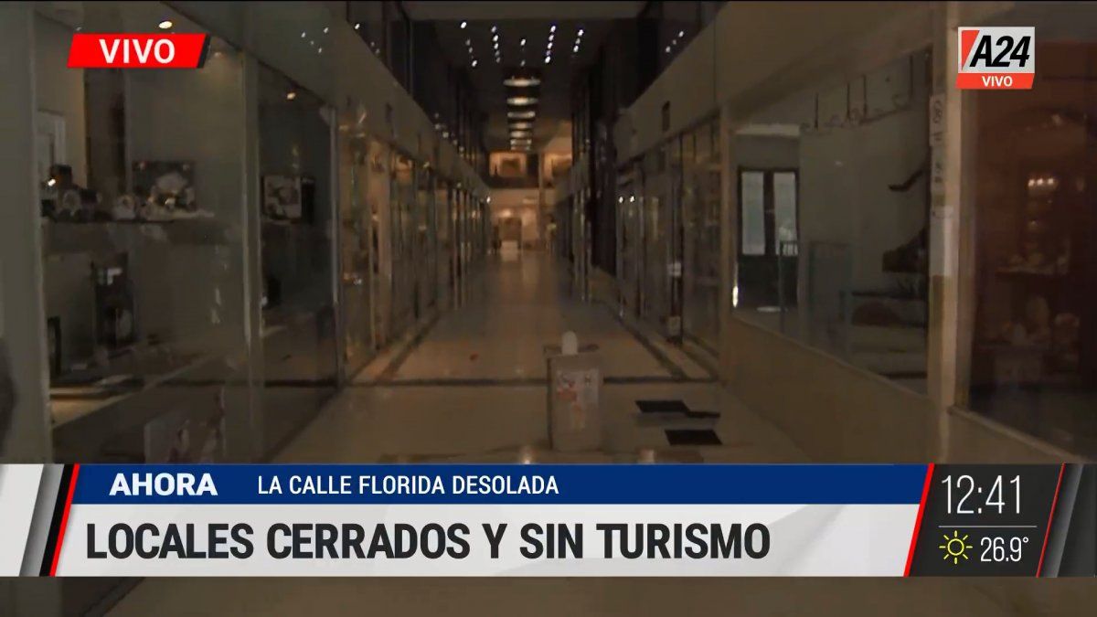 Así se encuentran las galerías en la calle Florida (Foto: captura de TV).
