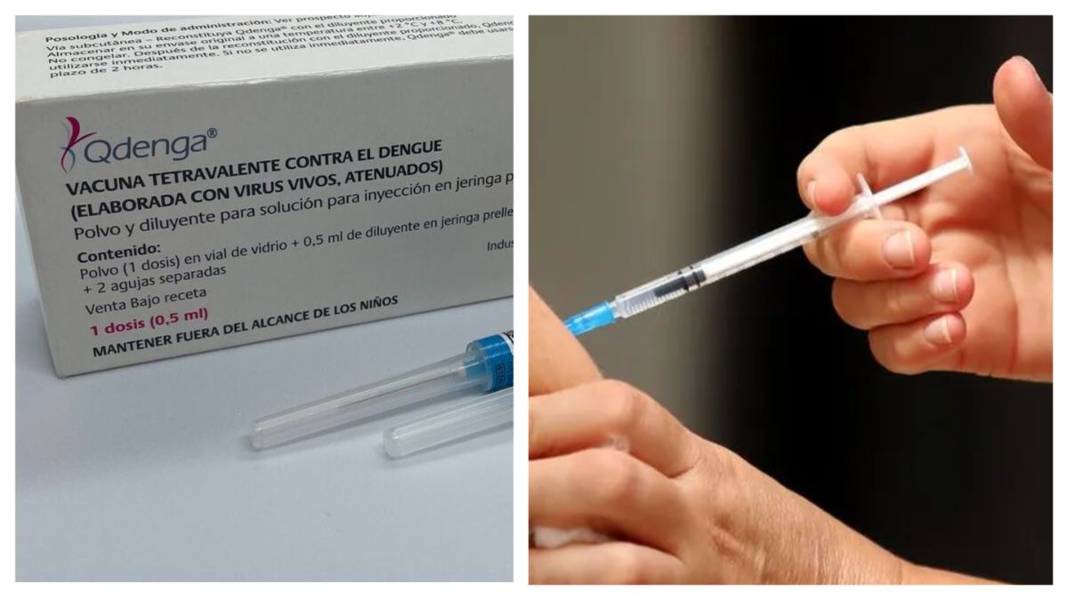 Vacuna contra el dengue en CABA: cómo sacar el turno para la inmunización y desde cuándo